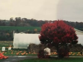 5802032
