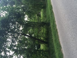 6450579