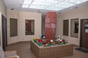 6605572