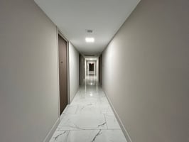 11559551
