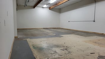 3875907