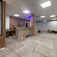6899029