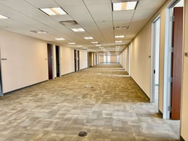 9069628