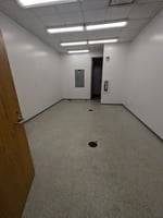 11954844