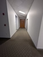 11954848