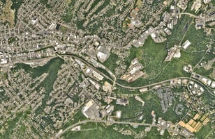 13696368