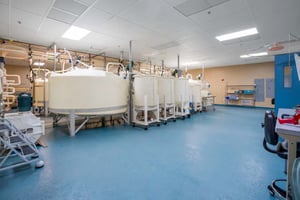 9163868