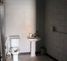 9062831
