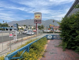 9066119