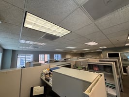 2362842