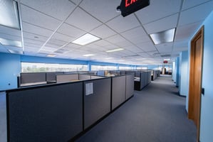 9239565