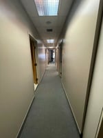 13624645