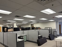 13647502