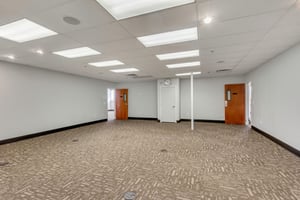 13503607