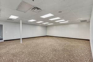 13503608