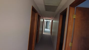 2342325