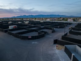 10242699