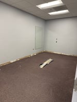 2443647