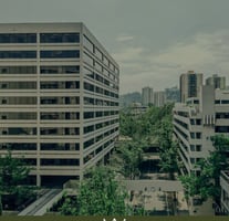 13658822