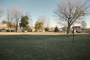 9873298