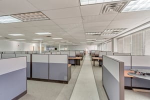9876587