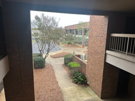 9907371