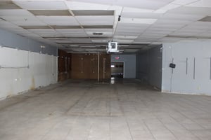 10290237