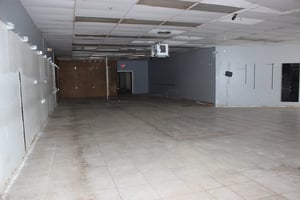 10290236