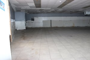 10290239