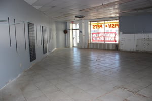 10290245