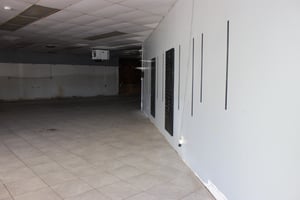 10290238