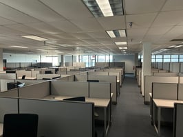 9982548