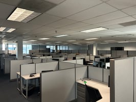 9982549