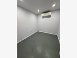 10102677
