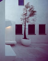 12303042