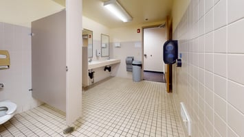 13747313