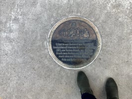 12267304