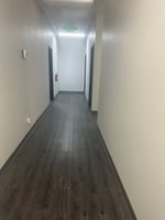 3859138
