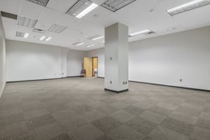 11650249