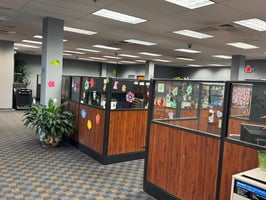 10254932