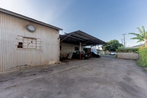 10267147