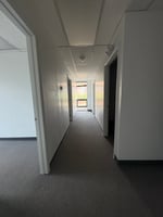 11315774