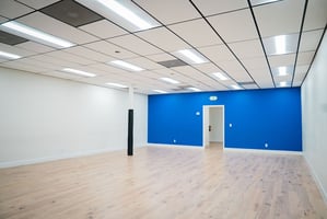 10675788