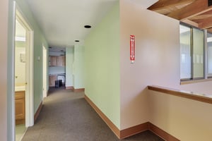 13801516