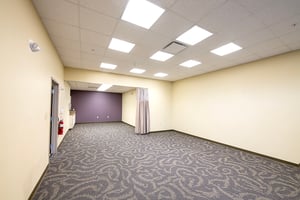 2646381