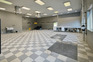 13204450