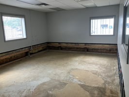 10684811