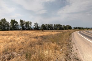 10635242