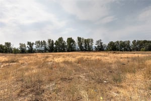 10635241