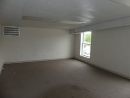 10636023